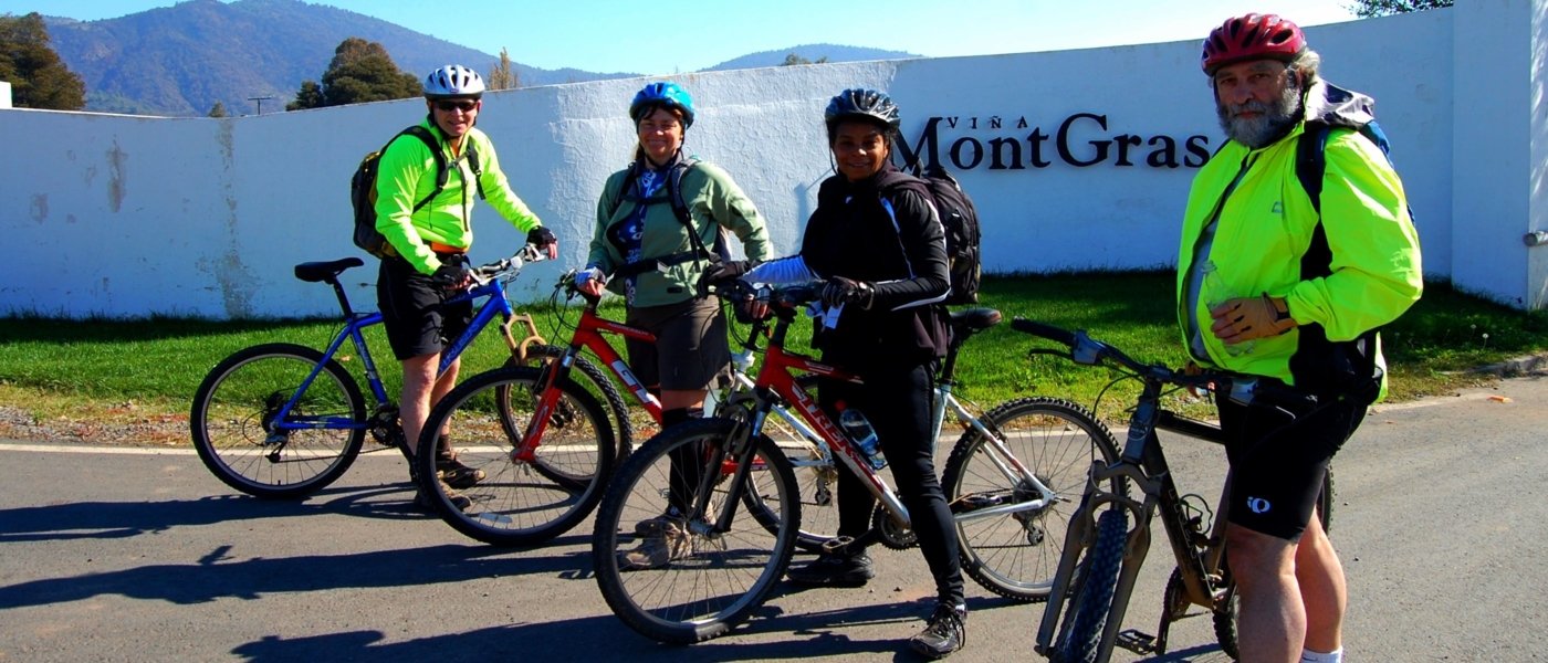 Biking in Colchagua